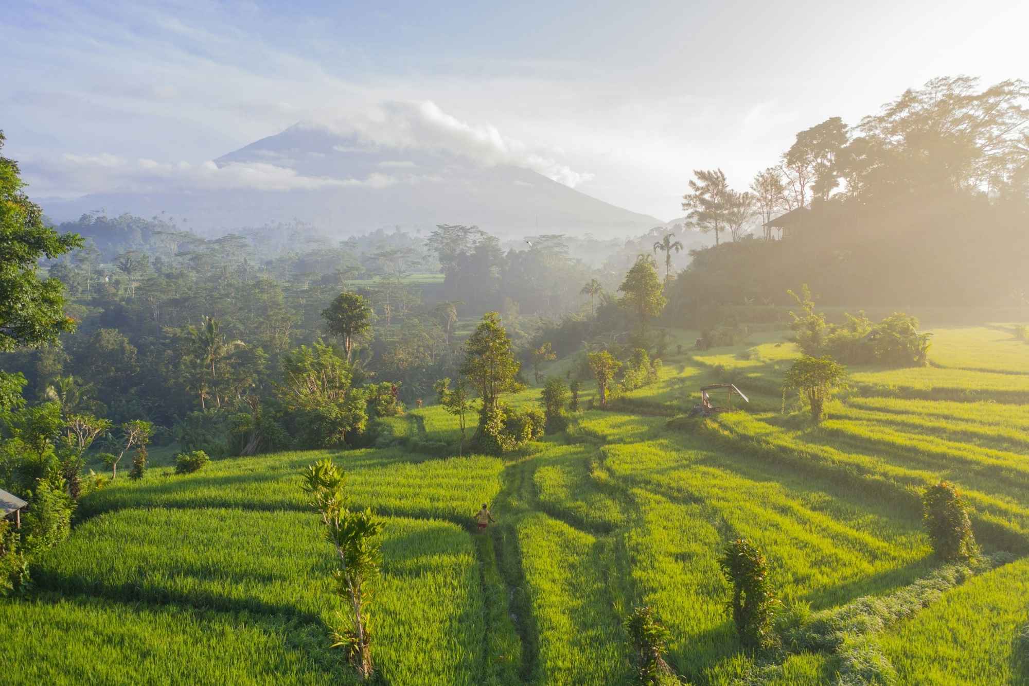 Rice terraces in the Balinese highlands with a volcano in the distance