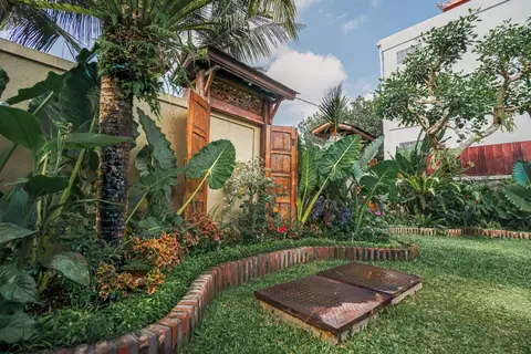 Rumah Elfi: lawn and banana plants in the garden
