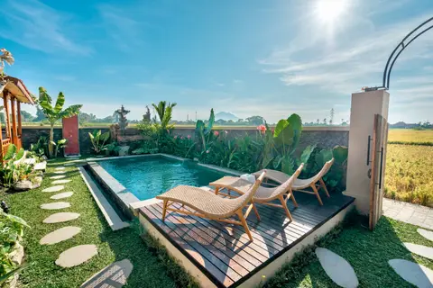 Joglo Hati: sun loungers and stepping stones by the pool