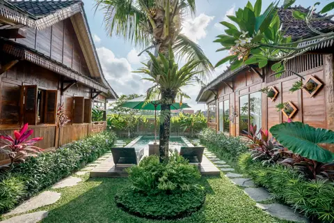 Rumah Richard: garden and pool framed by palm trees