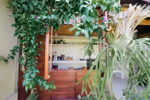 Rumah Richard: open kitchen shelves surrounded by plants