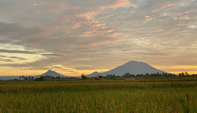 View from the veranda of Rumah Richard